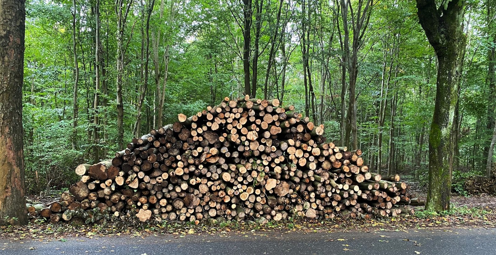 Load, unload and stack firewood; support in forestry logistics tasks.